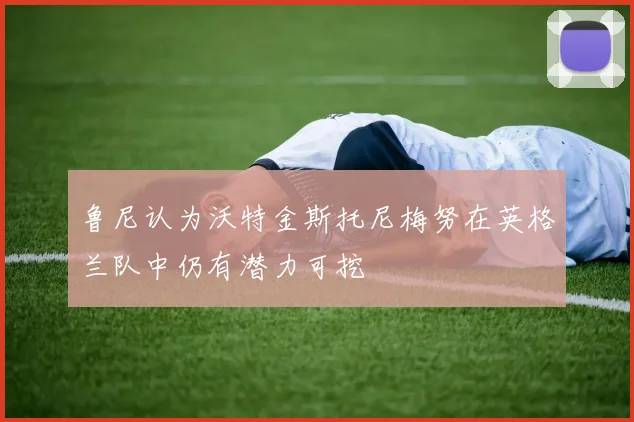鲁尼认为沃特金斯托尼梅努在英格兰队中仍有潜力可挖
