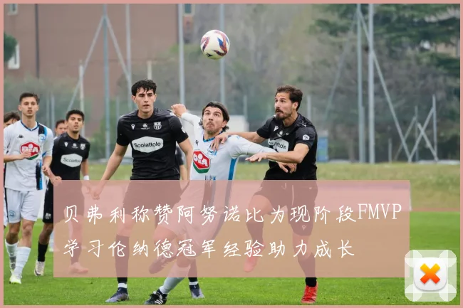 贝弗利称赞阿努诺比为现阶段FMVP学习伦纳德冠军经验助力成长