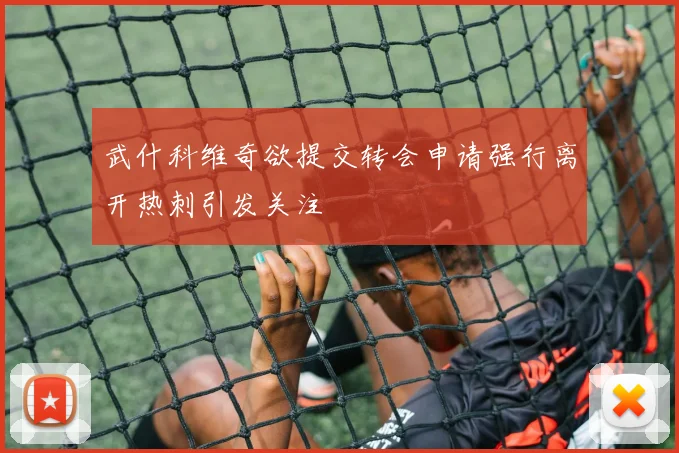 武什科维奇欲提交转会申请强行离开热刺引发关注